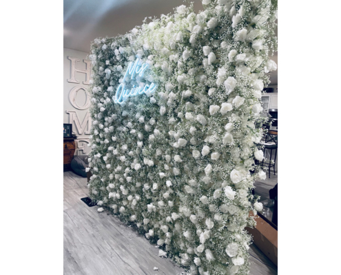 Baby Breath White Rose Flower Wall